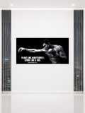MUHAMMAD ALI - FLOAT LIKE A BUTTERFLY