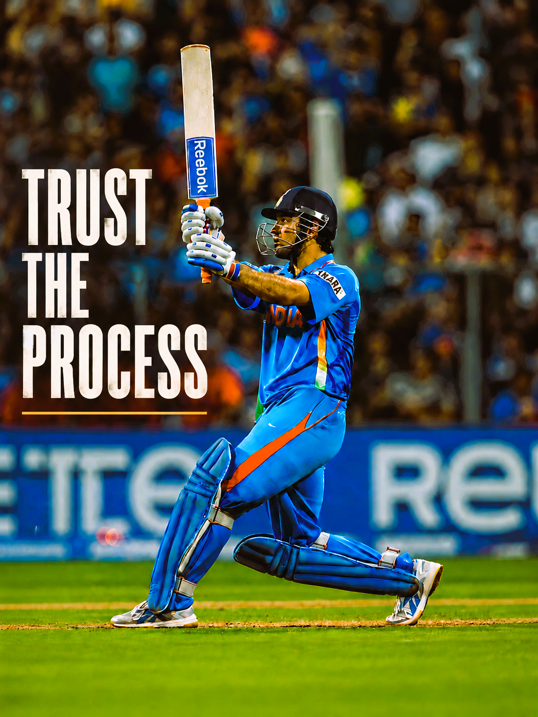 Cricket