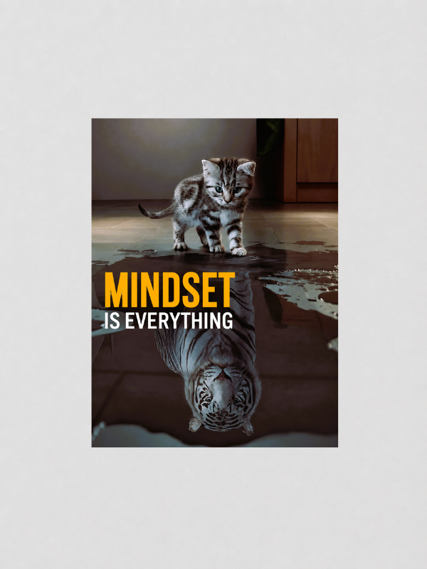MINDSET IS EVERYTHING