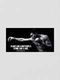 MUHAMMAD ALI - FLOAT LIKE A BUTTERFLY